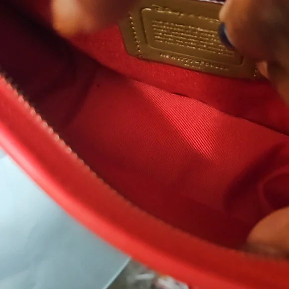 Coach Limited Edition Disney Bag - Picture 7 of 12